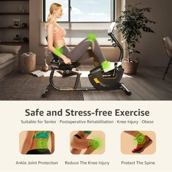 Recumbent Magnetic Exercise Bike for Adults Seniors Home