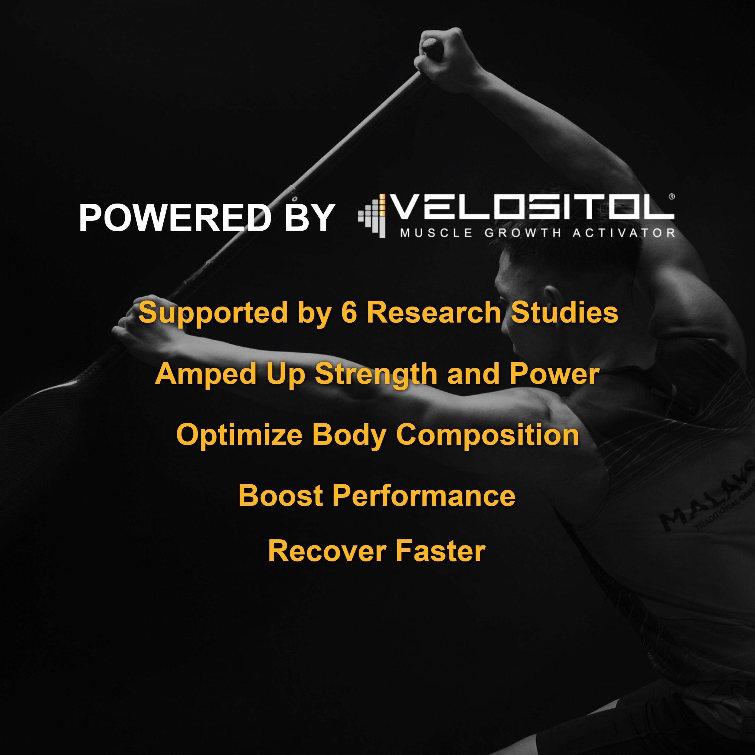 Plant Based Sport Protein Powder for Active Fitness