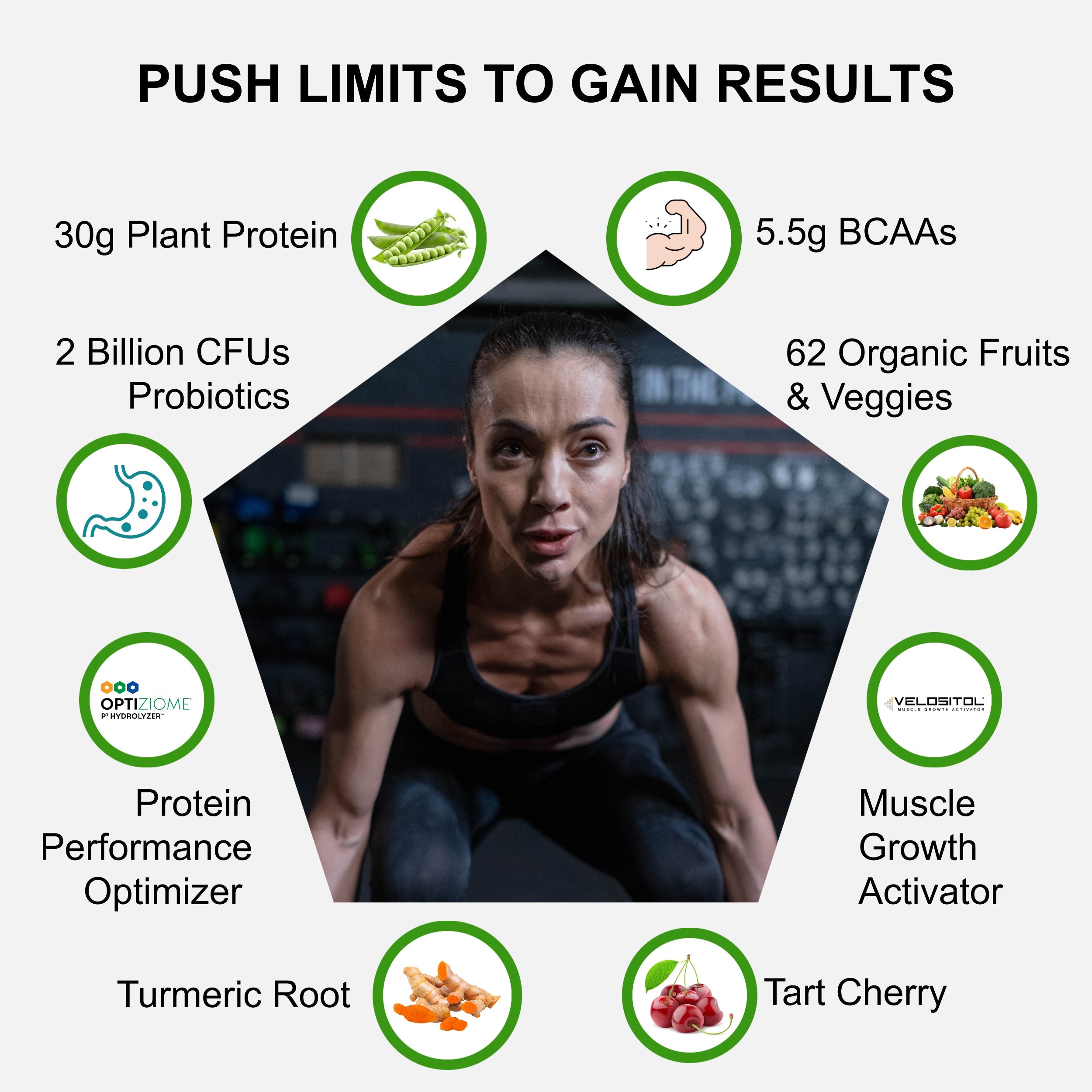 Plant Based Sport Protein Powder for Active Fitness