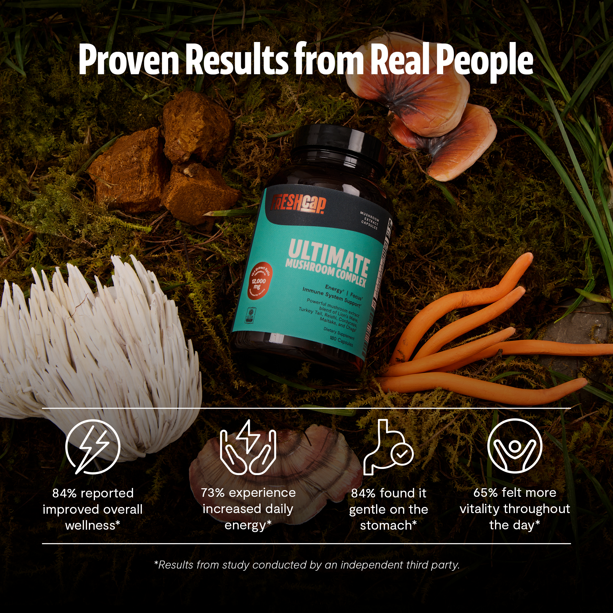 Organic Mushroom Complex Supplement Capsules for Daily Wellness