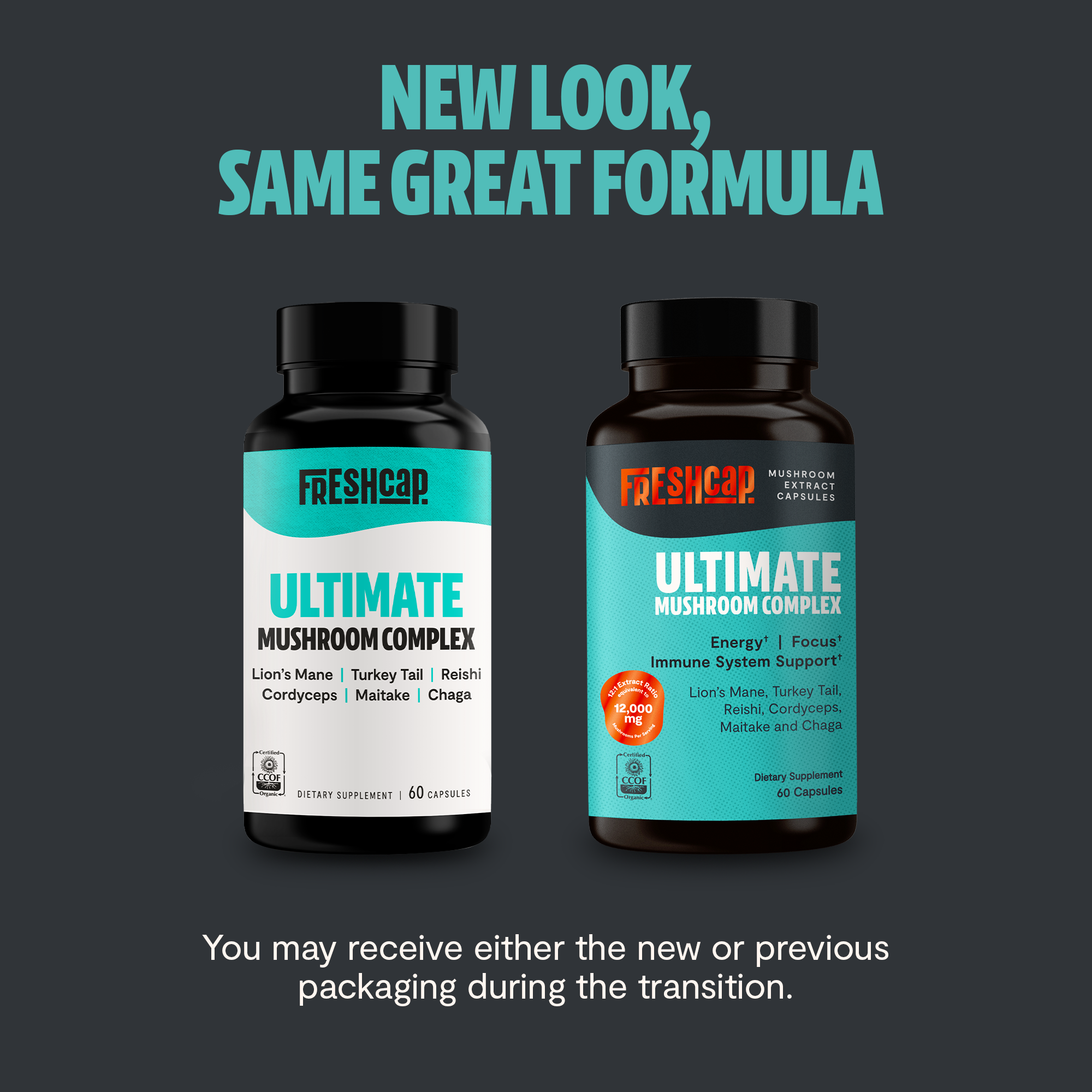 Organic Mushroom Complex Supplement Capsules for Daily Wellness