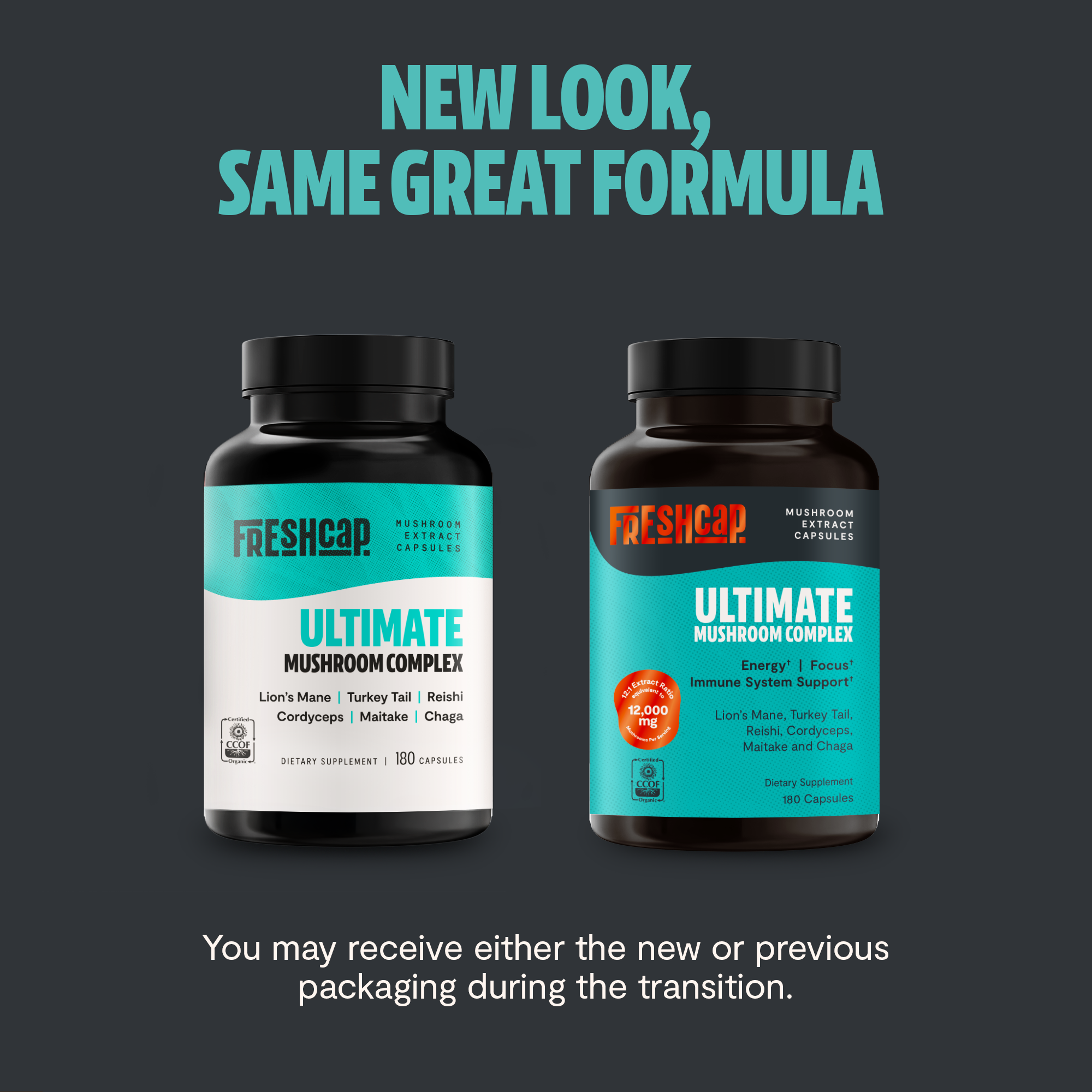 Organic Mushroom Complex Supplement Capsules for Daily Wellness