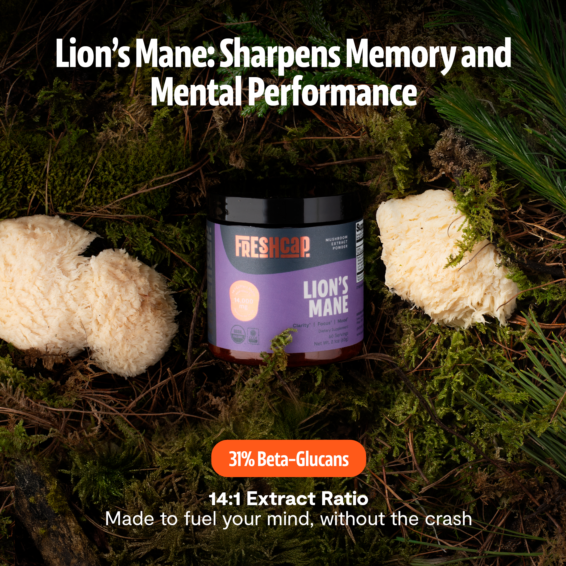 Organic Mushroom Complex Supplement Capsules for Daily Wellness