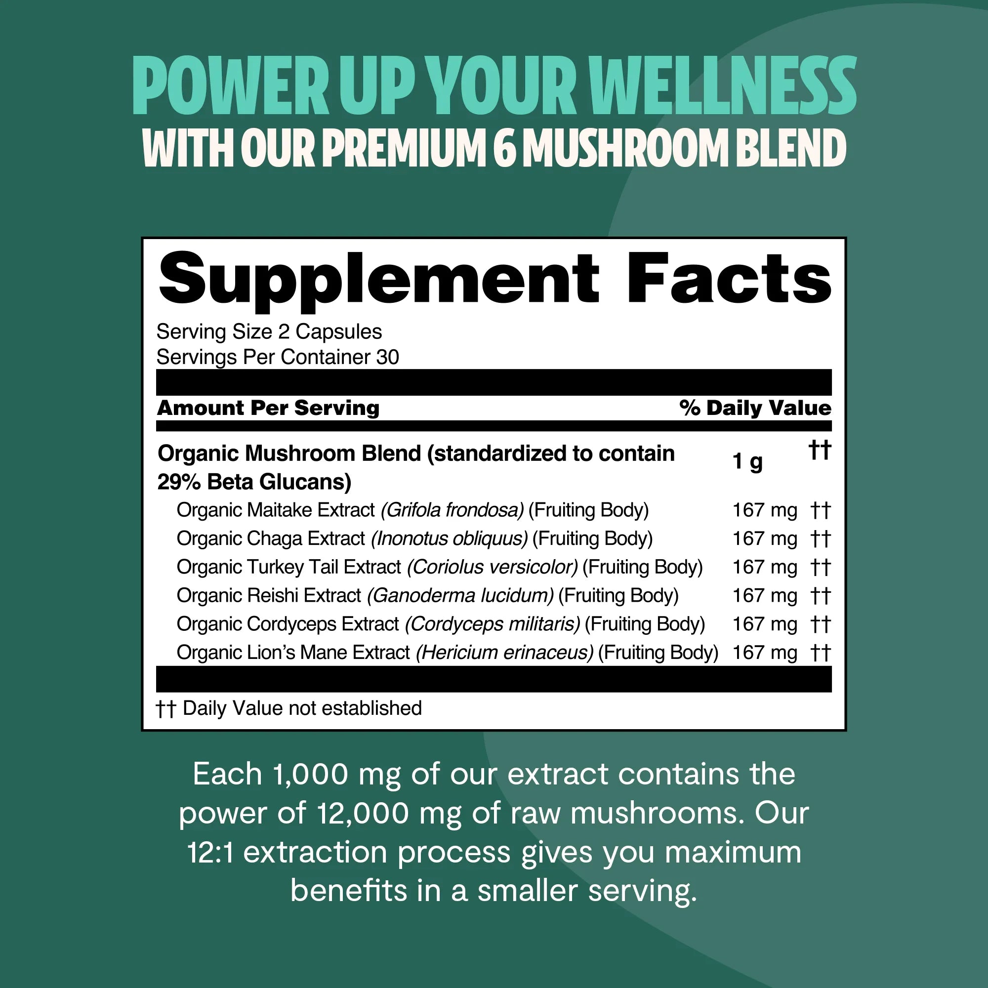 Organic Mushroom Complex Supplement Capsules for Daily Wellness