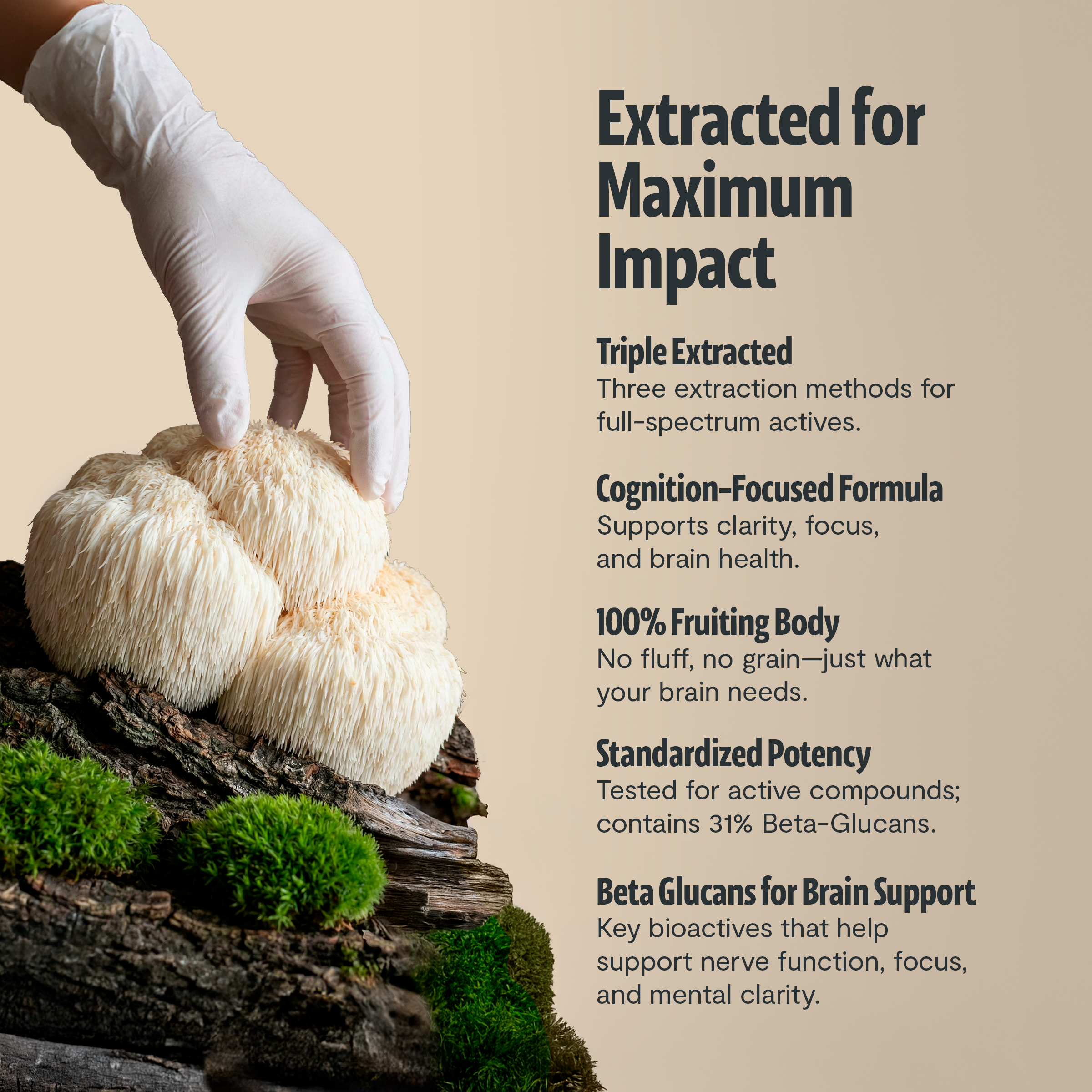 Organic Mushroom Complex Supplement Capsules for Daily Wellness