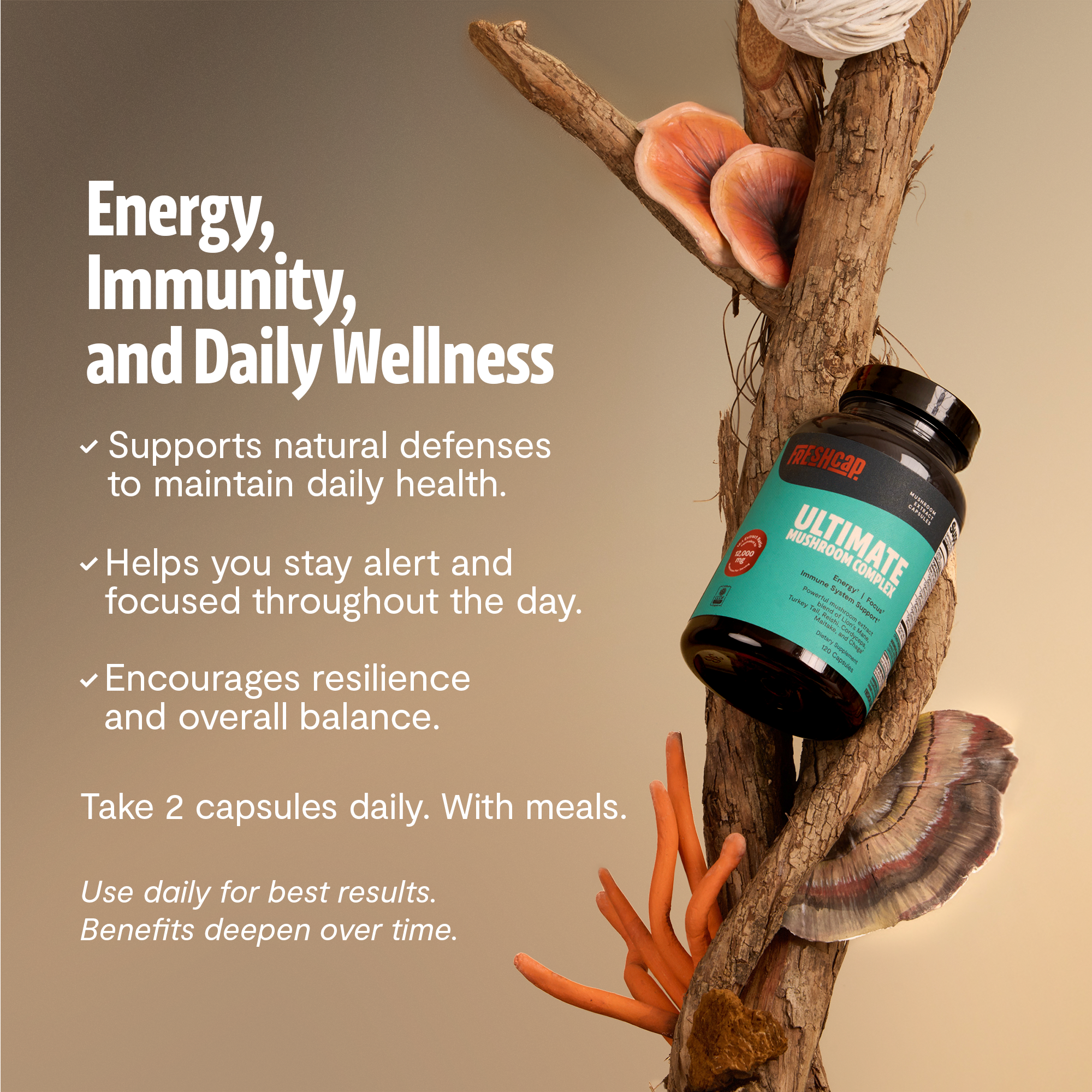 Organic Mushroom Complex Supplement Capsules for Daily Wellness
