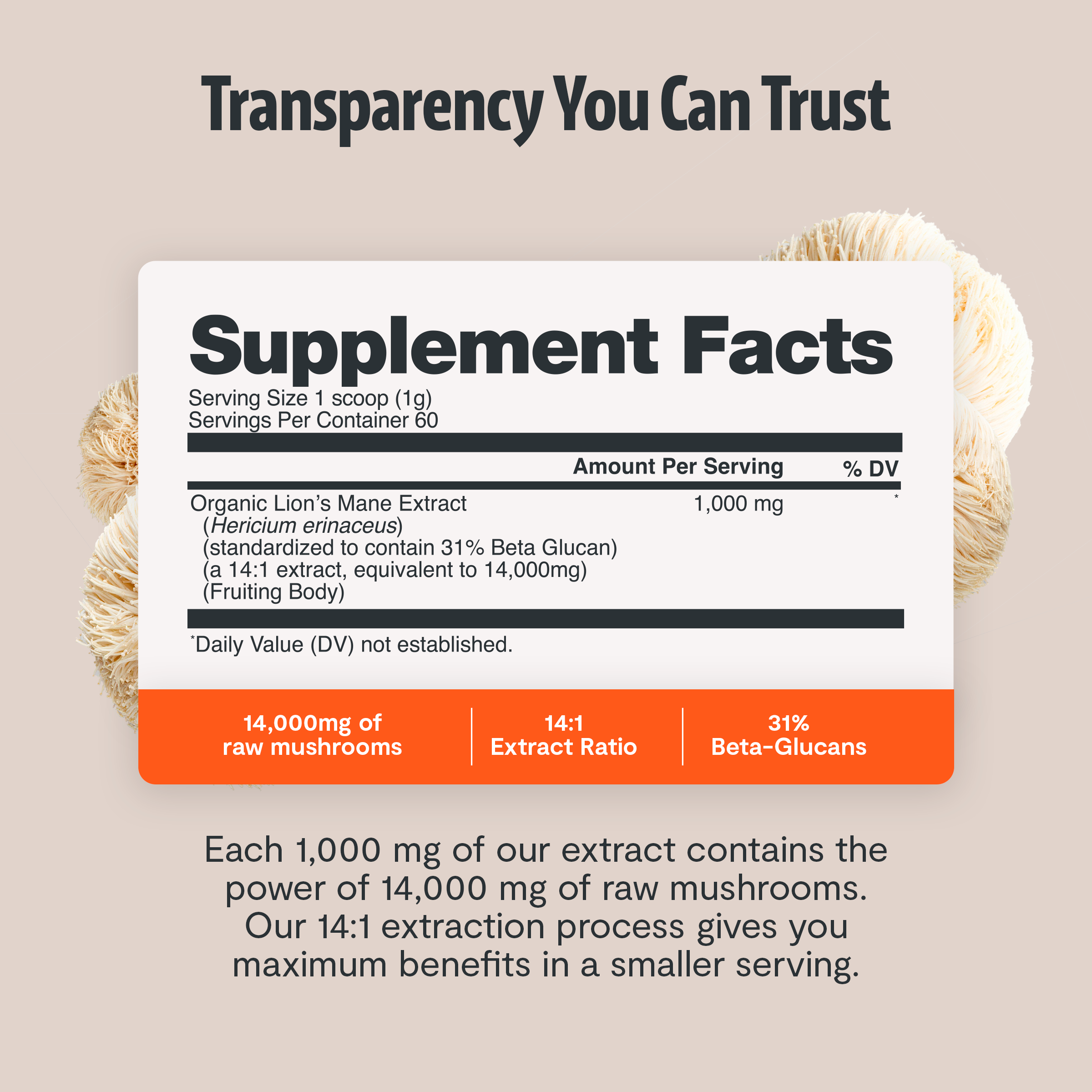 Organic Mushroom Complex Supplement Capsules for Daily Wellness