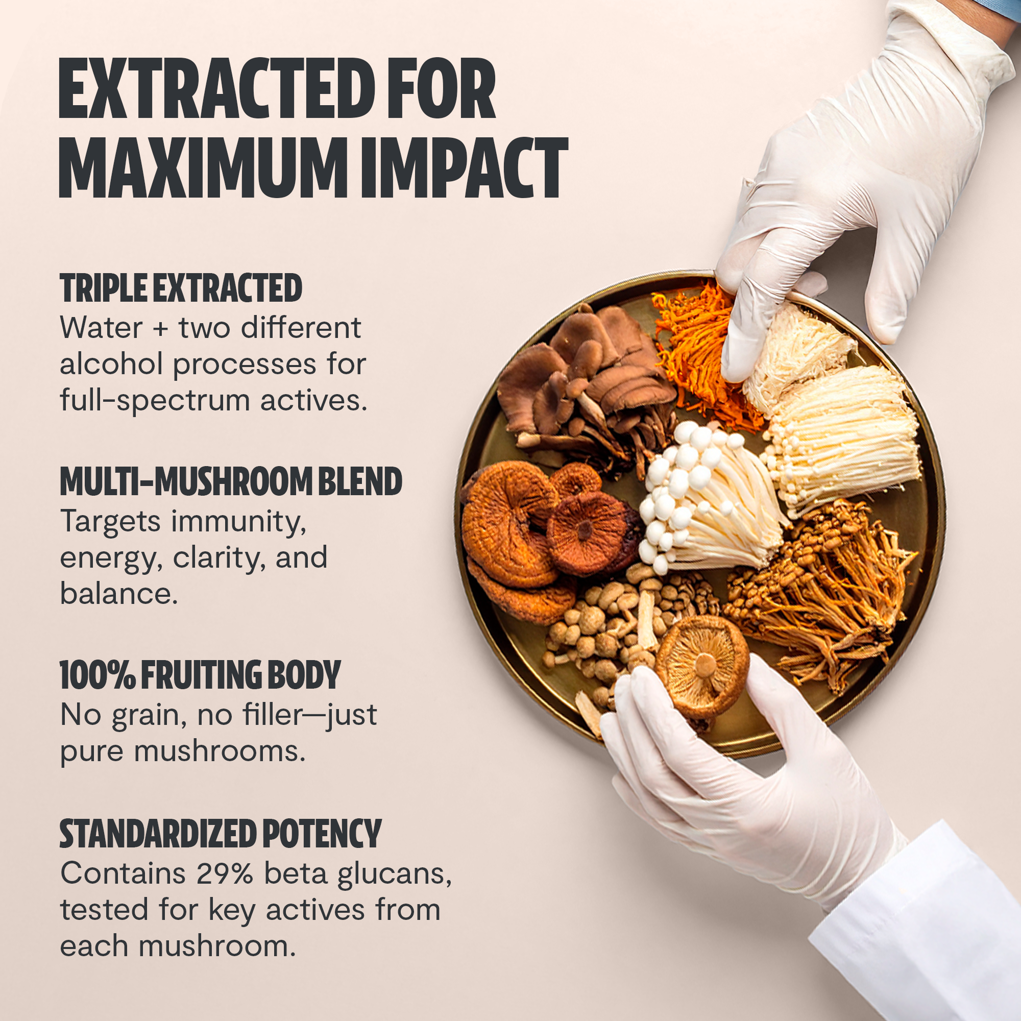 Organic Mushroom Complex Supplement Capsules for Daily Wellness
