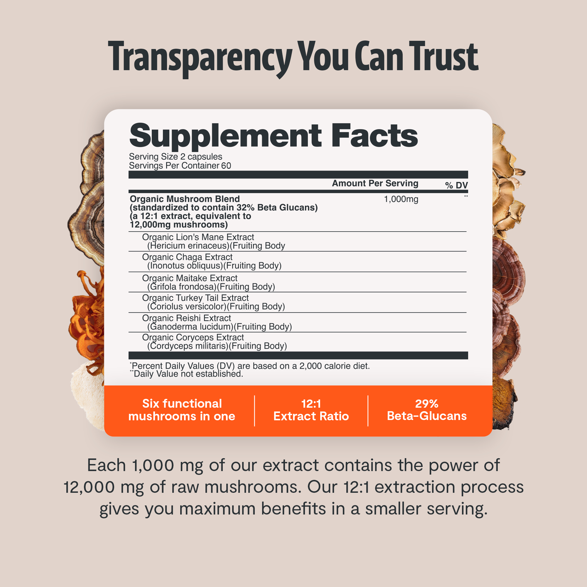 Organic Mushroom Complex Supplement Capsules for Daily Wellness