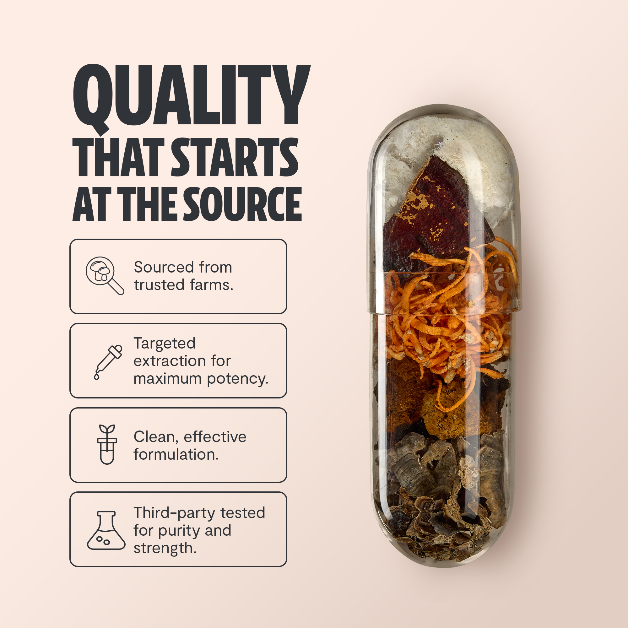 Organic Mushroom Complex Supplement Capsules for Daily Wellness