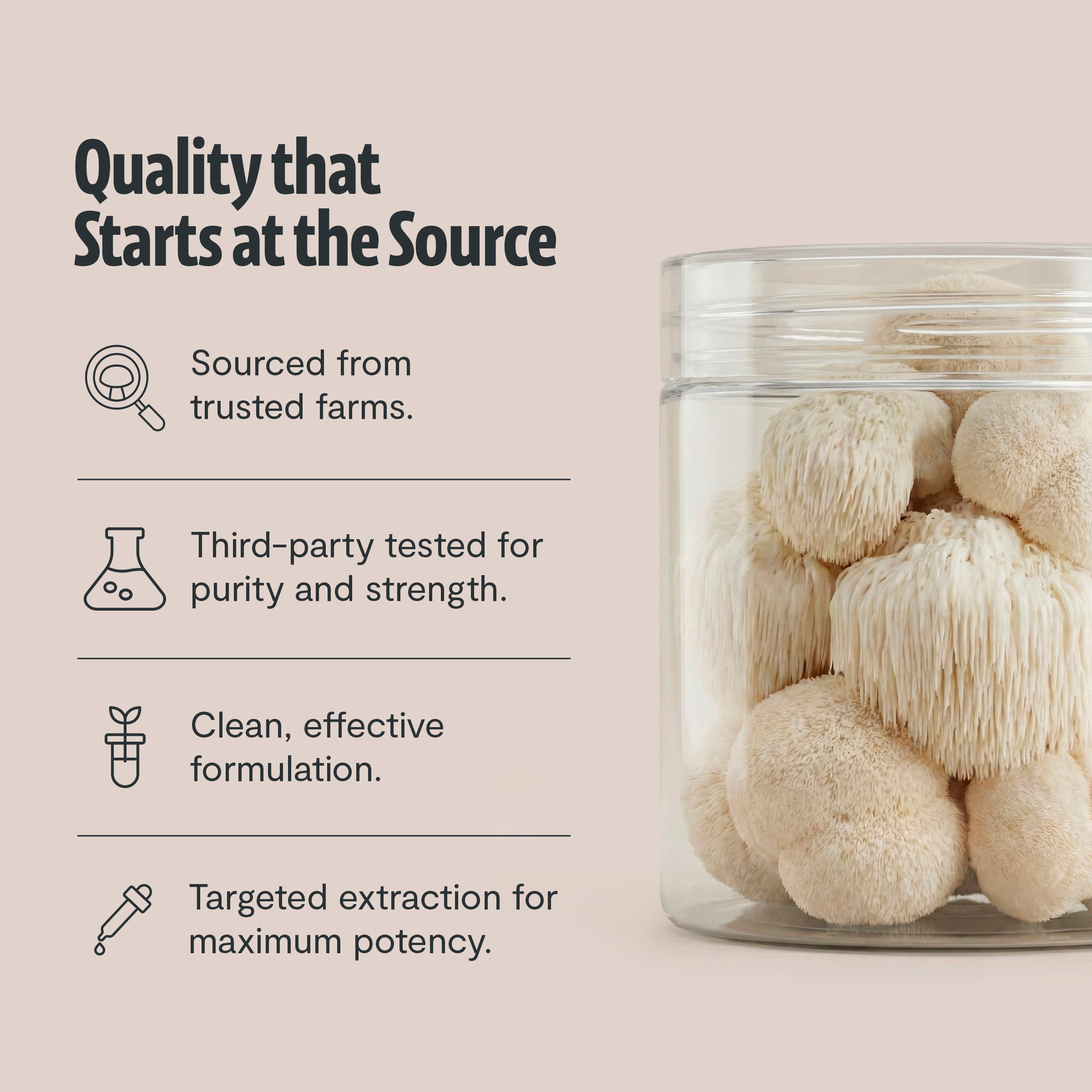 Organic Mushroom Complex Supplement Capsules for Daily Wellness