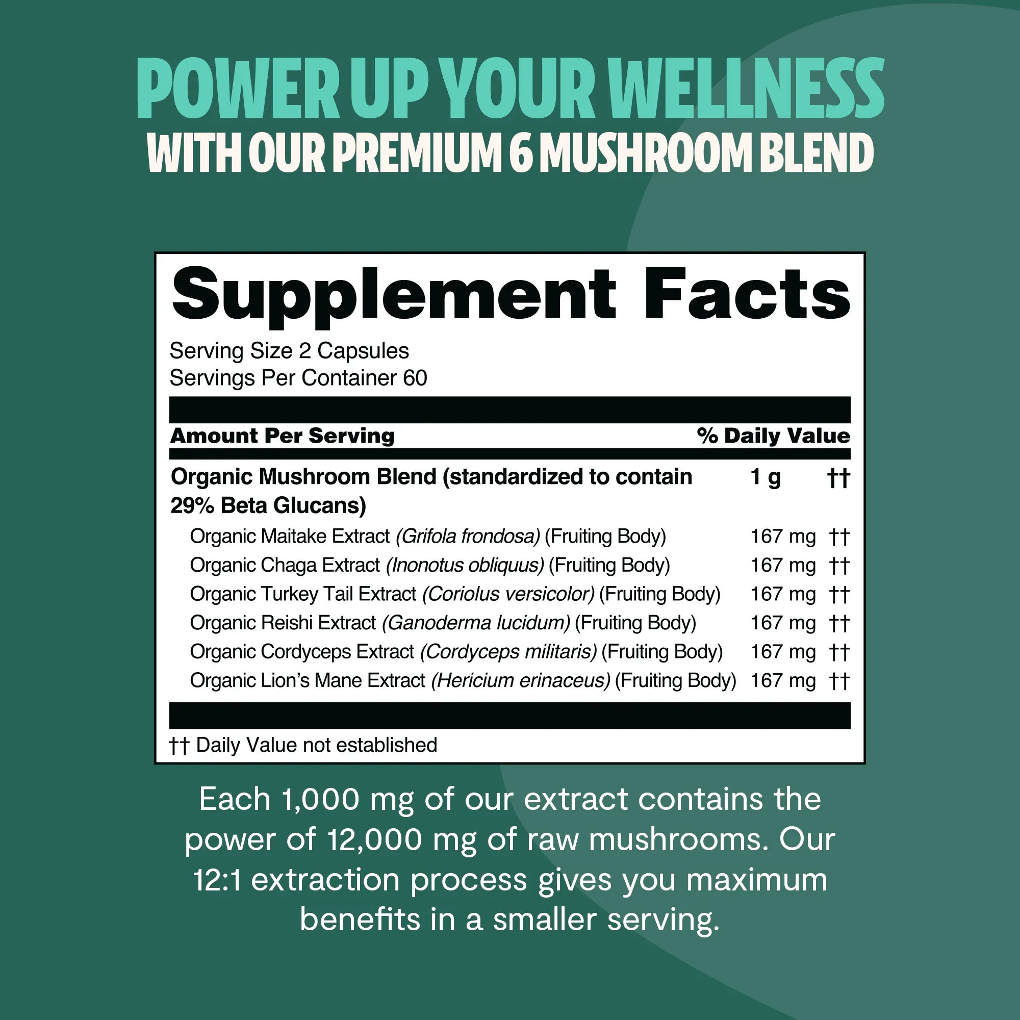 Organic Mushroom Complex Supplement Capsules for Daily Wellness
