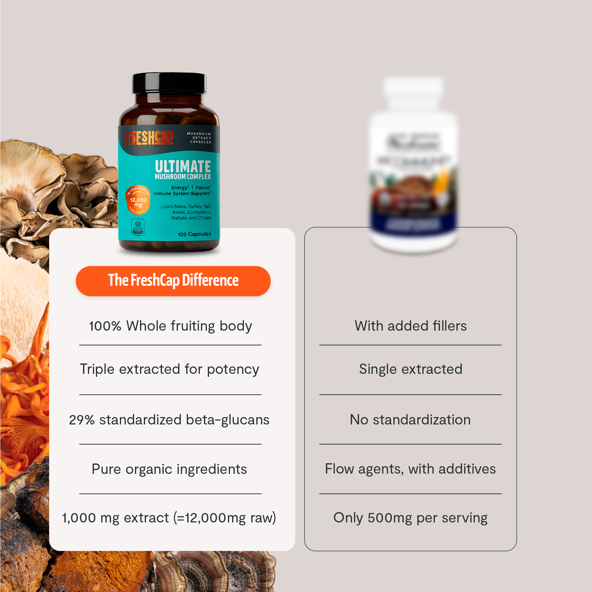 Organic Mushroom Complex Supplement Capsules for Daily Wellness