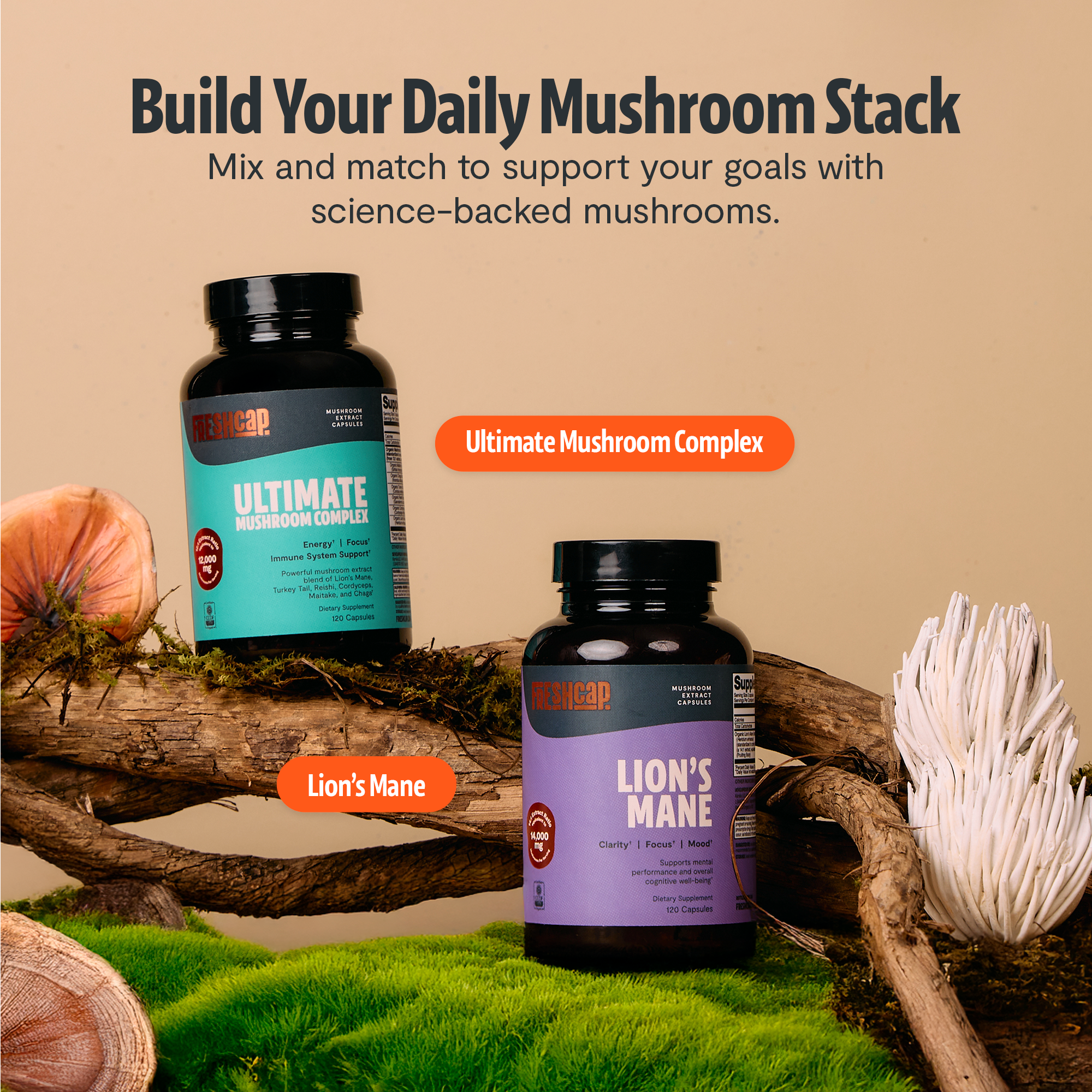 Organic Mushroom Complex Supplement Capsules for Daily Wellness