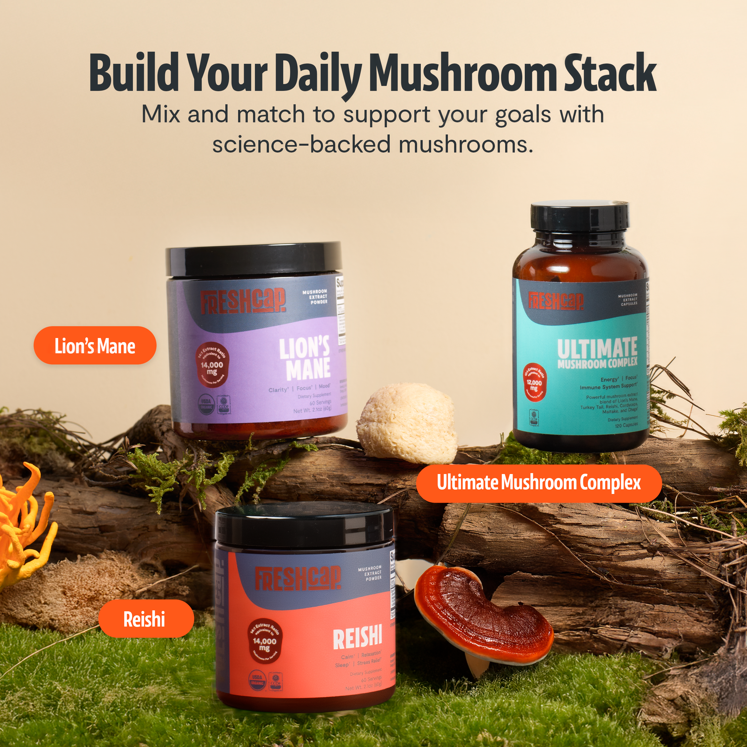 Organic Mushroom Complex Supplement Capsules for Daily Wellness